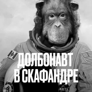 👨‍🚀 ДОЛБОНАВТ В СКАФАНДРЕ обезьяна, астронавт, скафандр, человекообразная обезьяна, русский текст, животное telegram sticker