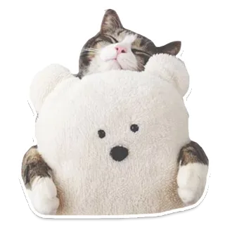 👫 고양이, 졸린, 동물, 귀여운, 봉제인형, 곰, 새끼고양이 telegram sticker
