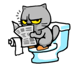 🚽 Katze, Toilette, Zeitung, Lesen, Cartoon, Tier telegram sticker