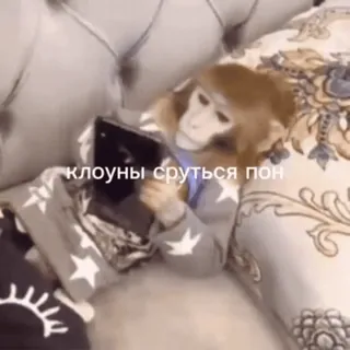 😀 клоуны сруться пон scimmia, letto, iPad, lettura, animale telegram sticker