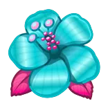 🌺