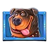 🐶
