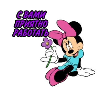 🌺 Minnie Mouse С вами приятно работать minnie mouse, cartoni animati, fiore, testo russo, saluto telegram sticker