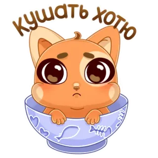 🍽 Кушать хотю mèo, dễ thương, hoạt hình, động vật, mèo con, đói, bát telegram sticker