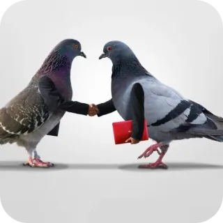 🤝 telegram sticker