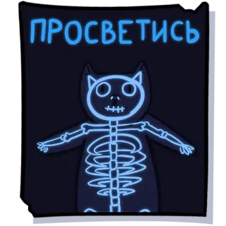 💀 ПРОСВЕТИСЬ cat, skeleton, x-ray, funny, glowing, russian, humor telegram sticker