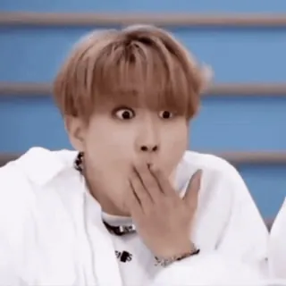 ๐ณ portrait, person, reaction, shock, surprise, kpop telegram sticker