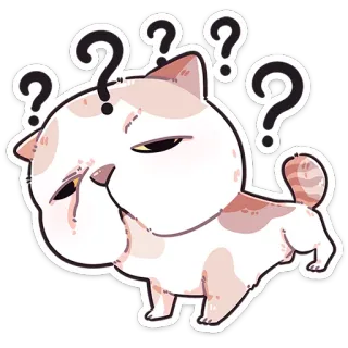 ❤️ kat, vraagteken, verward, onzeker, schattig, cartoon whatsapp sticker