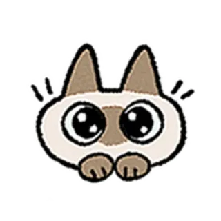 😺 gato, gatinho, fofo, adorável, siamês telegram sticker