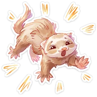 ⭐ furão, animal, fofo, desenho animado, animal de estimação, brincalhão, adesivo telegram sticker