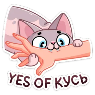 😈 YES OF КУСЬ gatto, carino, adesivo, cartone animato telegram sticker