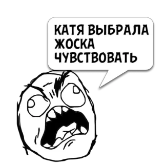 😼 КАТЯ ВЫБРАЛА ЖОСКА ЧУВСТВОВАТЬ ミーム, レイジフェイス, ロシア, 面白い, 感情的 whatsapp sticker