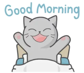 😄 Good Morning kat, goedemorgen, groet, ochtend, dier, schattig telegram sticker