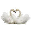 🦢