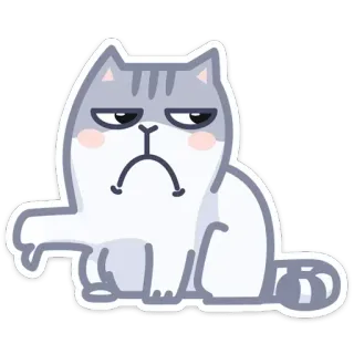 👎 cat, sticker, animal, cute, grey, sad, unhappy telegram sticker