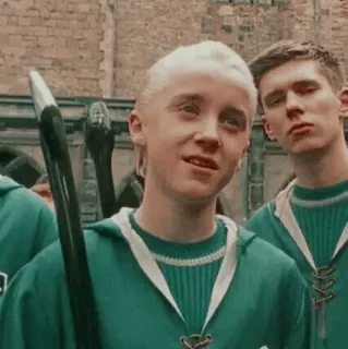🐾 Draco Malfoy Harry Potter 드레이코 말포이, 해리 포터, 슬리데린, 퀴디치, 톰 펠튼 telegram sticker
