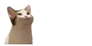 🙂 cat, meme, animal telegram sticker