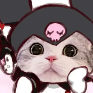@Opstickerpacks ✨cute cats⚡️🌸 telegram stickers