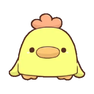 😐 chicken, cute, yellow, animal, bird, kawaii telegram sticker