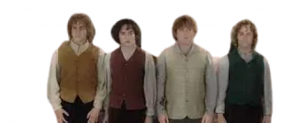 🧑‍🦱 Frodo Baggins The Lord of the Rings hobbit, fellowship, middle earth, fantasy, lord of the rings telegram sticker