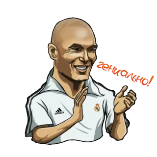 👏 Zinedine Zidane Zidanaaaaal sepak bola, sepak bola, olahraga, perayaan, Zidane telegram sticker