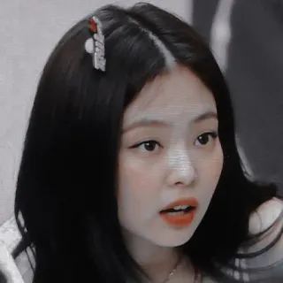 🍂 Jennie mujer, persona, pelo negro, coreana, K-pop, cantante telegram sticker