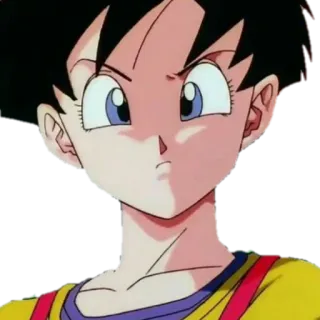 😕 Videl Dragon Ball Z 애니메이션, 드래곤볼, 비델, 만화, 소녀 telegram sticker
