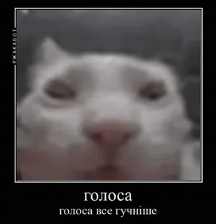 🤯 ГОЛОСА
голоса все гучніше gato, meme, animal, texto, desenfoque whatsapp sticker