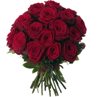 😍 розы, букет, цветы, красные розы, цветочная композиция, романтика, подарок telegram sticker