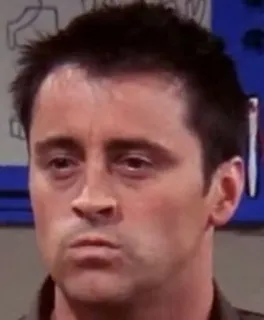 😑 Joey Tribbiani Friends tv show, actor, joey, friends, portrait telegram sticker