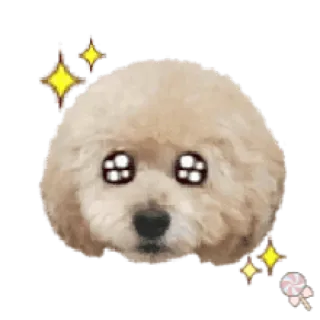 🐶 собака, милый, блестящий, каваий telegram sticker