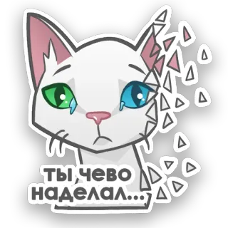 😢 ТЫ, ЧЕВО НАДЕЛАЛ... cat, crying, sad, russian, sticker, cartoon telegram sticker
