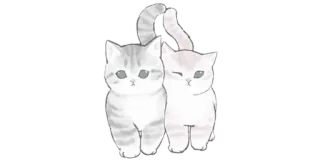 ▫️ gatos, gatitos, lindo, animales, kawaii whatsapp sticker