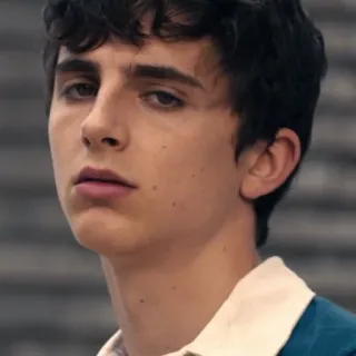 😒 Timothée Chalamet Тимоти Шаламе, актер, знаменитость, портрет, человек, мужчина whatsapp sticker