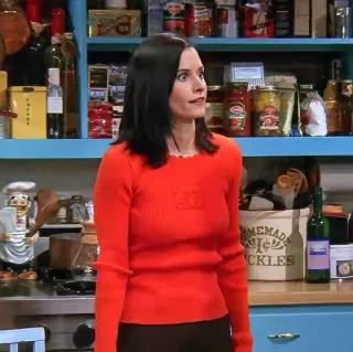🤐 Monica Geller Friends HOMEMADE PICKLES série télé, années 90, sitcom, Friends, Monica Geller, cuisine, cornichons whatsapp sticker
