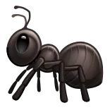 🐜