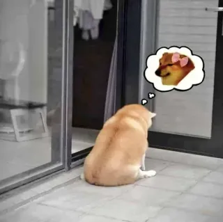 🌚 Doge pies, zwierzę, mem, Cheems, miłość whatsapp sticker