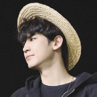 🥂 homme, chapeau, portrait, personne, style, mode whatsapp sticker