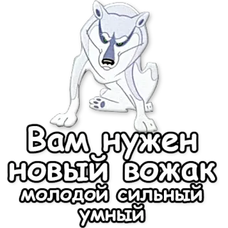 💪 Вам нужен новый вожак молодой сильный умный lobo, animal, dibujos animados, texto, ruso, alfa telegram sticker