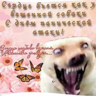 🐕 Сердце бьется как у
Бешенной собаки
С днём панической
атаки!
Воздух глубоко вquzaš
с загадай... dog, panic attack, text, russian, humor telegram sticker