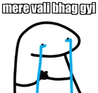 😂 mere vali bhag gyi sad, crying, meme, hindi, broken heart telegram sticker