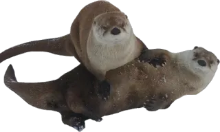 👬 wydra, zwierzęta, ssaki, słodkie telegram sticker