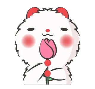🌷 mignon, ours, animal, fleur, salutation, kawaii whatsapp sticker