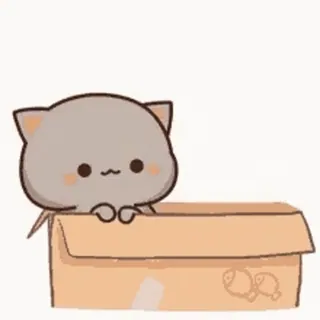🎈 kat, doos, schattig, dier, kitten, cartoon whatsapp sticker