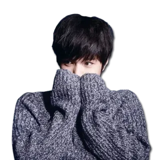 😨 사람, 스웨터, 얼굴 가림, 아시아인, 인물 사진 telegram sticker