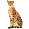 🐆