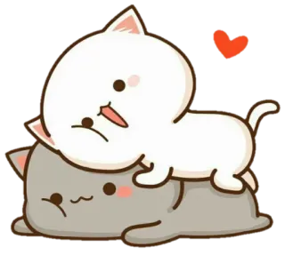 😍 kot, słodkie, serce, zwierzęta, naklejka whatsapp sticker