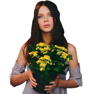 🌼 woman, portrait, flowers, person, girl, yellow flowers telegram sticker
