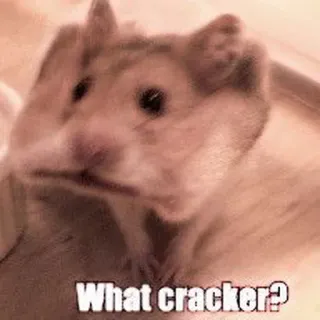 🤏 What cracker? hamster, animal, offensive, slur telegram sticker