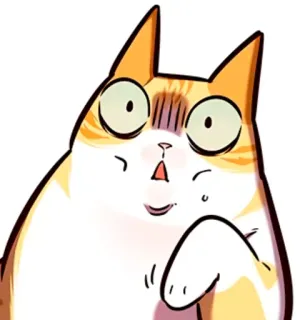 🐈 gato, gracioso, sorprendido, animal, dibujos animados, pegatina telegram sticker